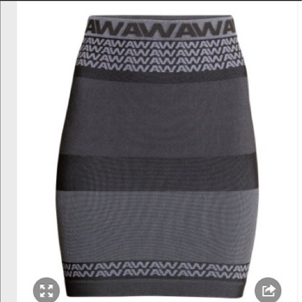 Alexander Wang H&M Skirt